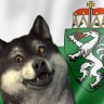 SindiTV