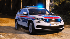 w3kodiaq (15).png